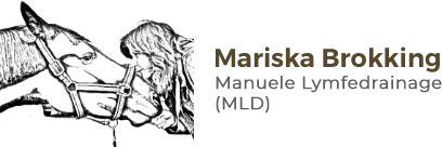 Mariska Brokking Manuele Lymfedrainage logo